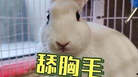 吃瓜画画抖音网红是谁,揭秘网络红人的绘画艺术之旅”