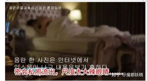 网红合集吃瓜视频,揭秘热门事件背后的真相与笑料