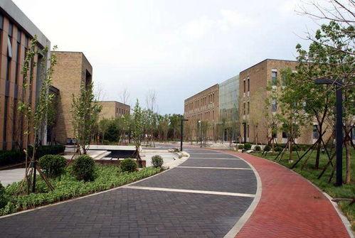 中央财经大学网课吃瓜,揭秘网课中的“吃瓜”事件